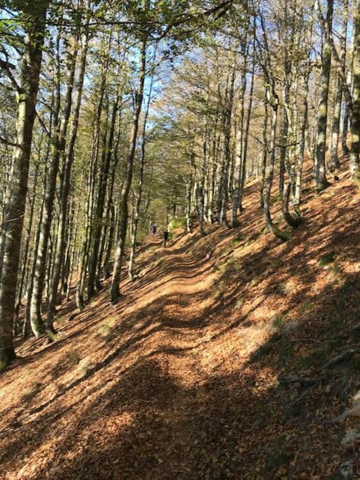 La Magie Entre Deux Lacs Vila Gérardmer Exterior foto