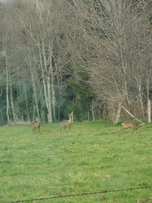 La Magie Entre Deux Lacs Vila Gérardmer Exterior foto
